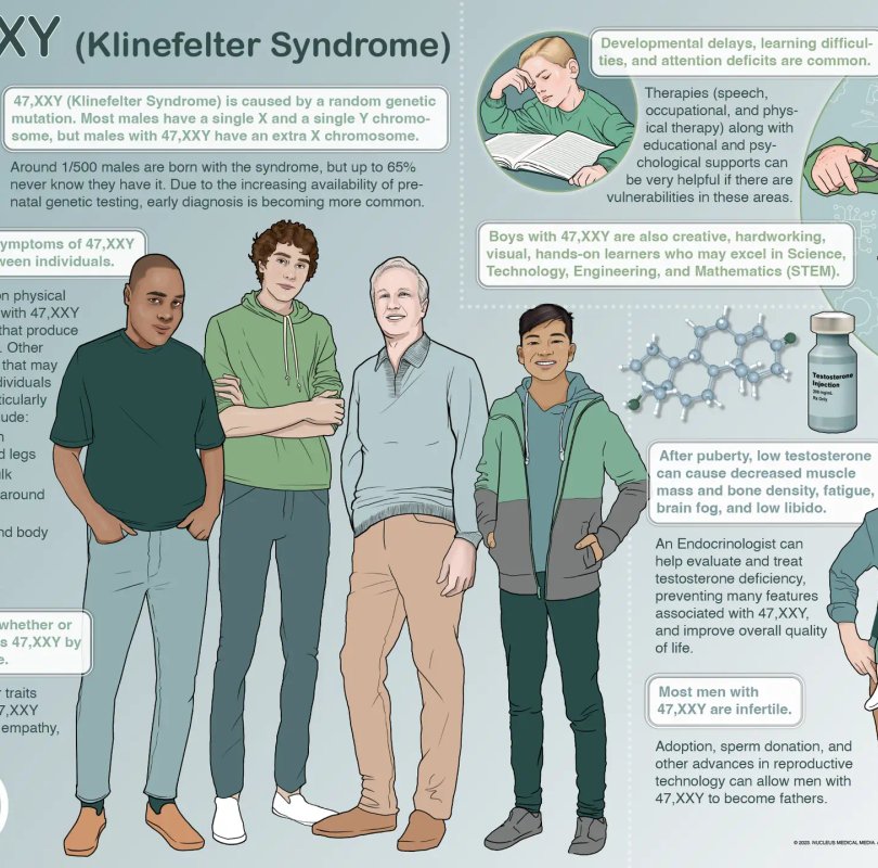English language infographic