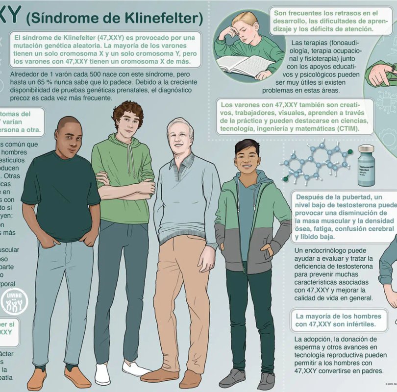 Spanish language infographic