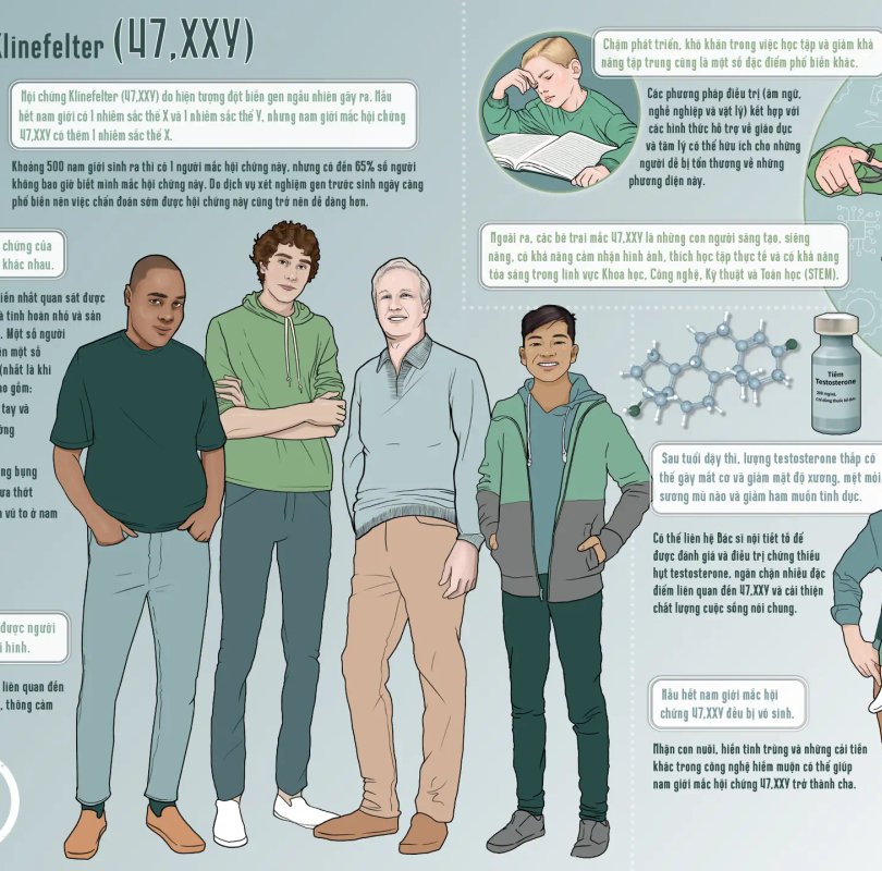 Vietnamese language infographic
