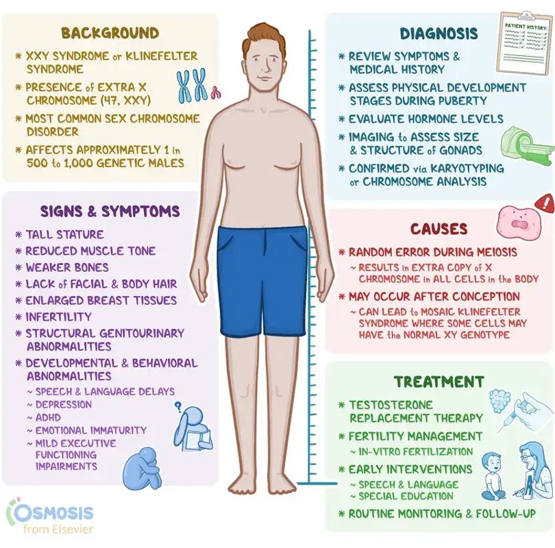 Osmosis Klinefelter Syndrome educational infographic