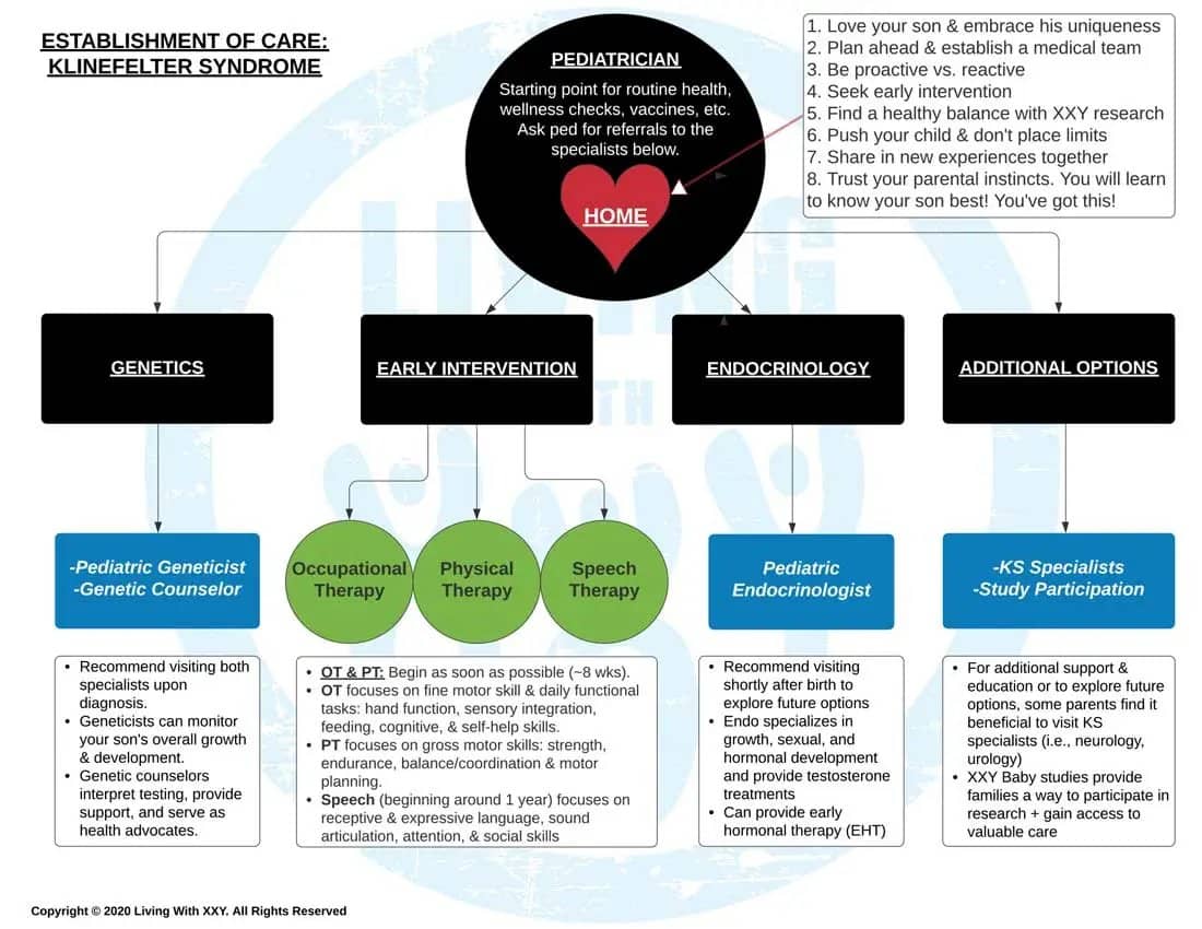 Establishment of Care -  Klinefelter Syndrome Guide