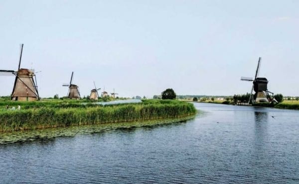 Dutch-600×450